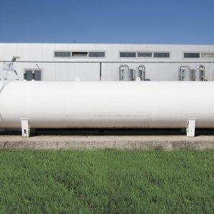erga49